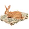 BUGUUYO Cooling Mat for Hamster Beds view 3