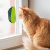 Cat Corner Scratcher - Avocado Shape view 3
