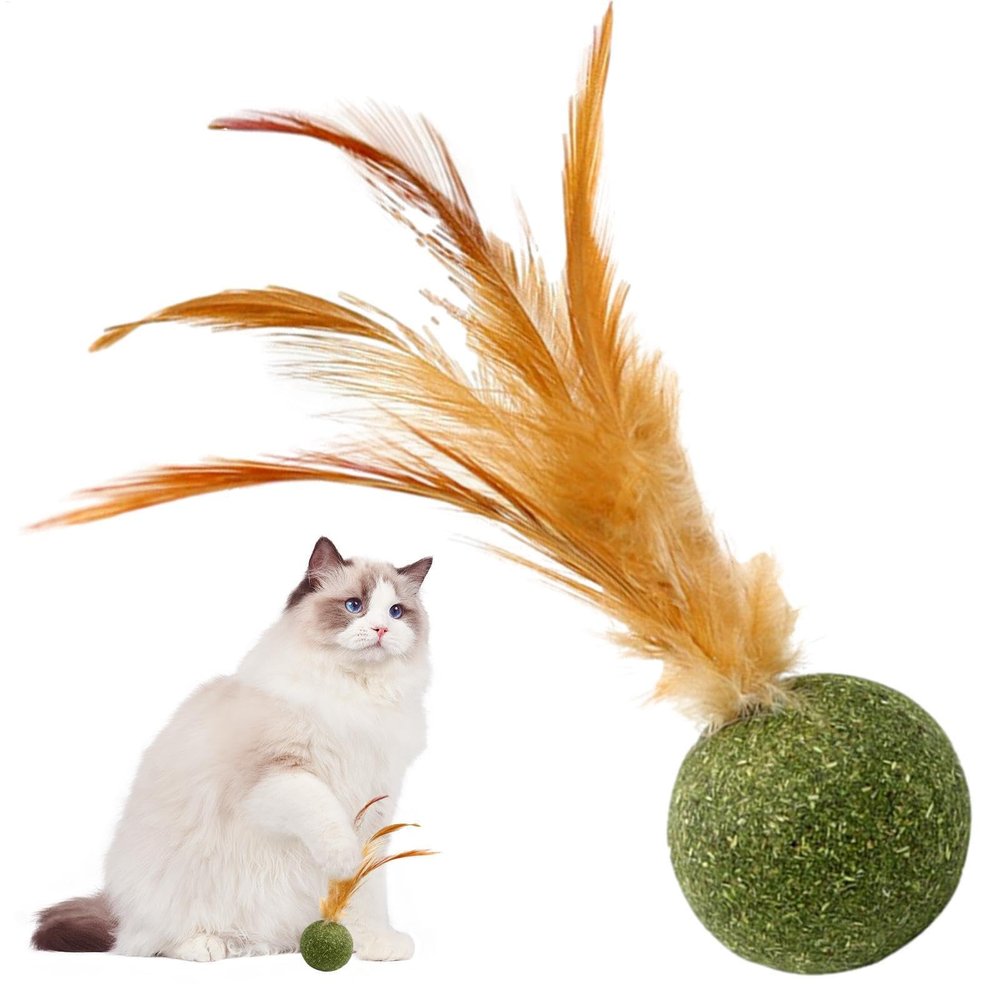 Cat Nip Balls - Edible Catnip Toy for Kittens and Cats