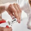 Dog Nail Clippers - Safe for Large Dogs view 3