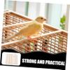 BUGUUYO 6-Pack Parrot Foraging Toy Set view 2