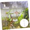 CIYODO Acrylic Aquarium Shrimp Feeding Tube with Suction Cup view 4