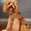 Christmas Sweater for Dogs view 2