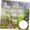 Parliky Aquarium Feeder with Suction Cup view 3
