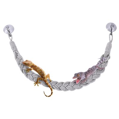 Hermit Crab Climbing Toy