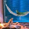 Hermit Crab Climbing Toy view 2