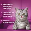 WHISKAS Anti-Hairball Cat Snacks 6 x 50g view 3