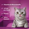 WHISKAS Crunchy Treats for Cats with Beef 6 x 60g view 3