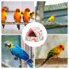 Bird Nesting Bed for Parrots view 4