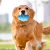 Dog Treat Dispenser & Chew Toy view 2