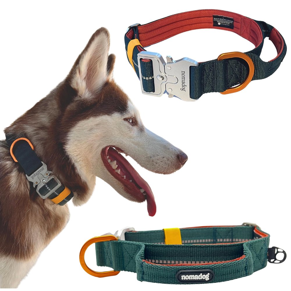 Nomadog Trailblazer Dog Collar with Handle for Large Dogs – Premium Aluminum Buckle, Durable Tactical, Adjustable, Padded, Reflective (L)