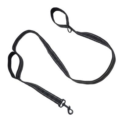 Parliky Nylon Dog Leash with Double Handle