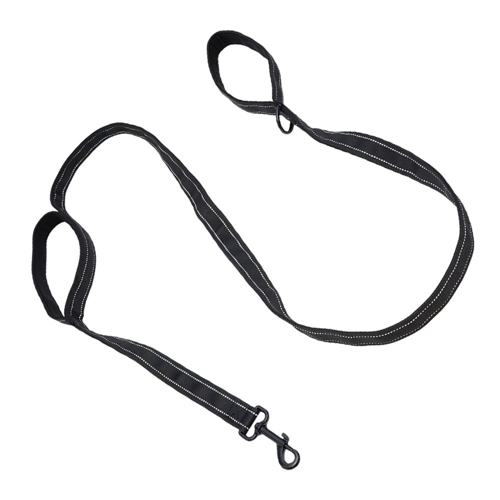Parliky Nylon Dog Leash with Double Handle