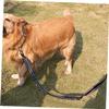 Parliky Nylon Dog Leash with Double Handle view 4
