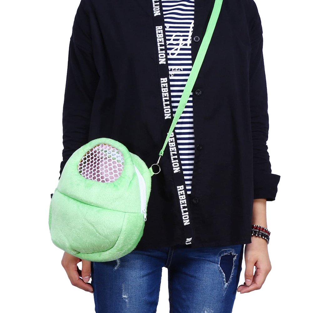 Hanging Small Pet Carrier with Adjustable Strap, Green
