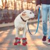 Breathable Adjustable Dog Boots view 2