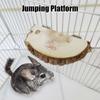 Hamster Habitat Board view 2