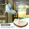 Hamster Habitat Board view 3