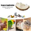 Hamster Habitat Board view 4