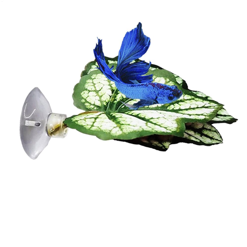 Betta Fish Leaf Hammock