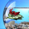Betta Fish Leaf Hammock view 3