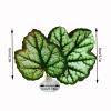 Betta Fish Leaf Hammock view 4