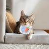 Cat Bandana Collar - Carrot Pattern view 3