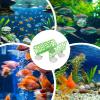 scyca Betta Rest Tube, Betta Tunnel Floating Tube - Sleeping view 4