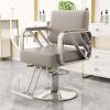 Professional Barber Chair, Hydraulic Pump, 360° Swivel, Height-Adjustable, Gray/Silver view 1
