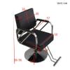 Professional Barber Chair, Hydraulic Pump, 360° Swivel, Height-Adjustable, Gray/Silver view 2