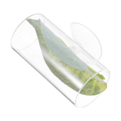 BESPORTBLE Acrylic Aquarium Bed for Betta Fish and Shrimp