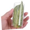 BESPORTBLE Acrylic Aquarium Bed for Betta Fish and Shrimp view 3