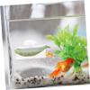 BESPORTBLE Acrylic Aquarium Bed for Betta Fish and Shrimp view 4