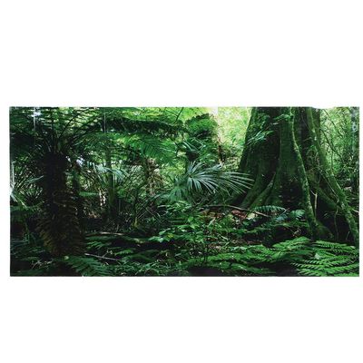 Reptile Box Rainforest Background Decoration