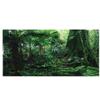 Reptile Box Rainforest Background Decoration view 1