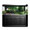 Reptile Box Rainforest Background Decoration view 3