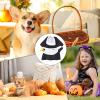Cat Nun Costume, Funny Pet Nun Outfit for Halloween and Parties view 4