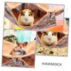 HAPINARY Hanging Hammock for Small Animals view 2