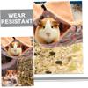 HAPINARY Hanging Hammock for Small Animals view 4