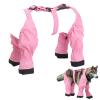 Dog Boots with Suspenders, Adjustable Paw Protectors view 3