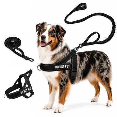 Quelcc Anti-Pull Dog Harness with Leash