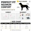 Quelcc Anti-Pull Dog Harness with Leash view 2