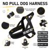 Quelcc Anti-Pull Dog Harness with Leash view 3