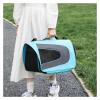 Pengchang Soft Breathable Pet Shoulder Carrier, Airline-Approved, Size 4/S view 2