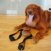 Interactive Coffee Bean Dog Feeder Ball and Tug Toy view 4
