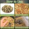 Halatool 100g Sphagnum Moss for Reptiles view 2