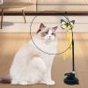 Indoor Cat Feather Toy, 12-Pack with Retractable Wand and Refills view 3
