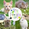 Indoor Cat Feather Toy, 12-Pack with Retractable Wand and Refills view 4