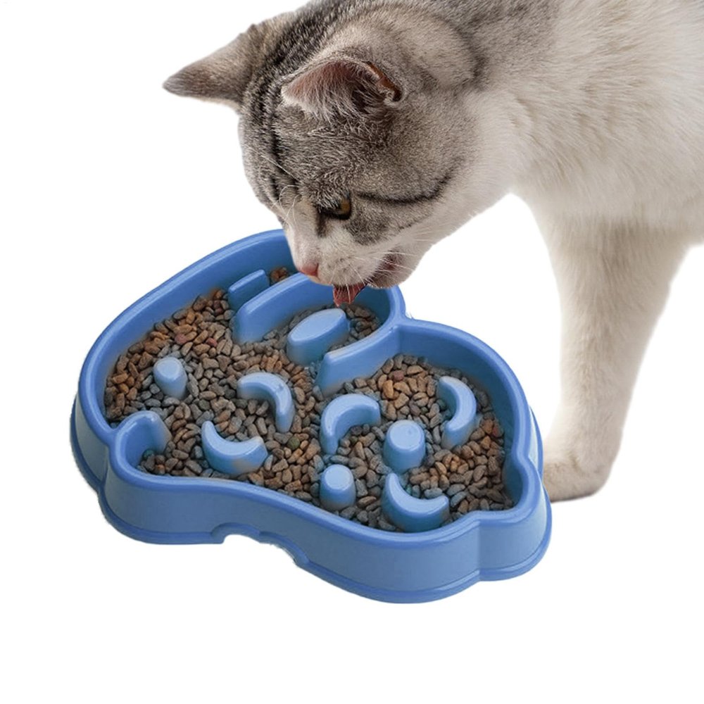 Slow Feeder Dog Bowl
