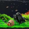Generic Reptile Hide | Magnetic Aquarium Cave view 2